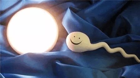 找卵代生子机构